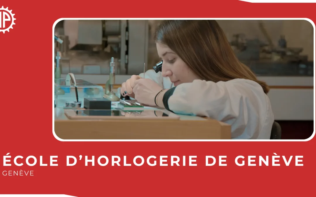 PUBLICATION DES PREMIÈRES VIDÉOS