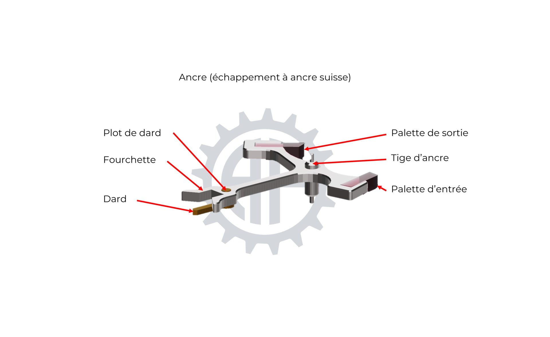 Les différentes parties de l'ancre