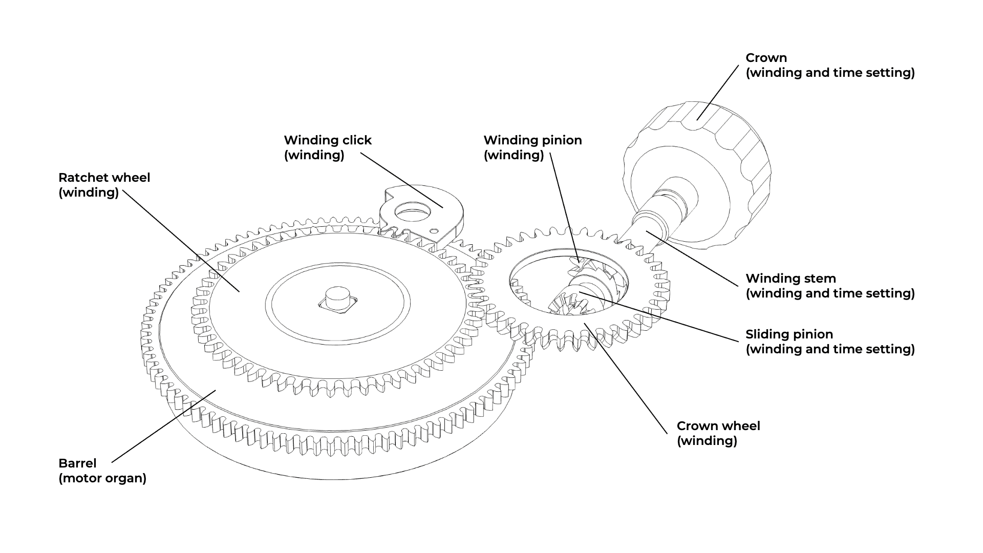 Kinematics of the winding mechanism ENG