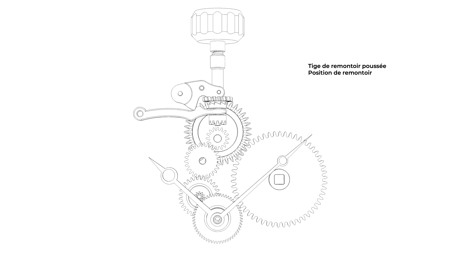 Transition between the hand-setting mechanism and the winding mechanism Animation illustrating the transition between the hand-setting mechanism and the winding mechanism