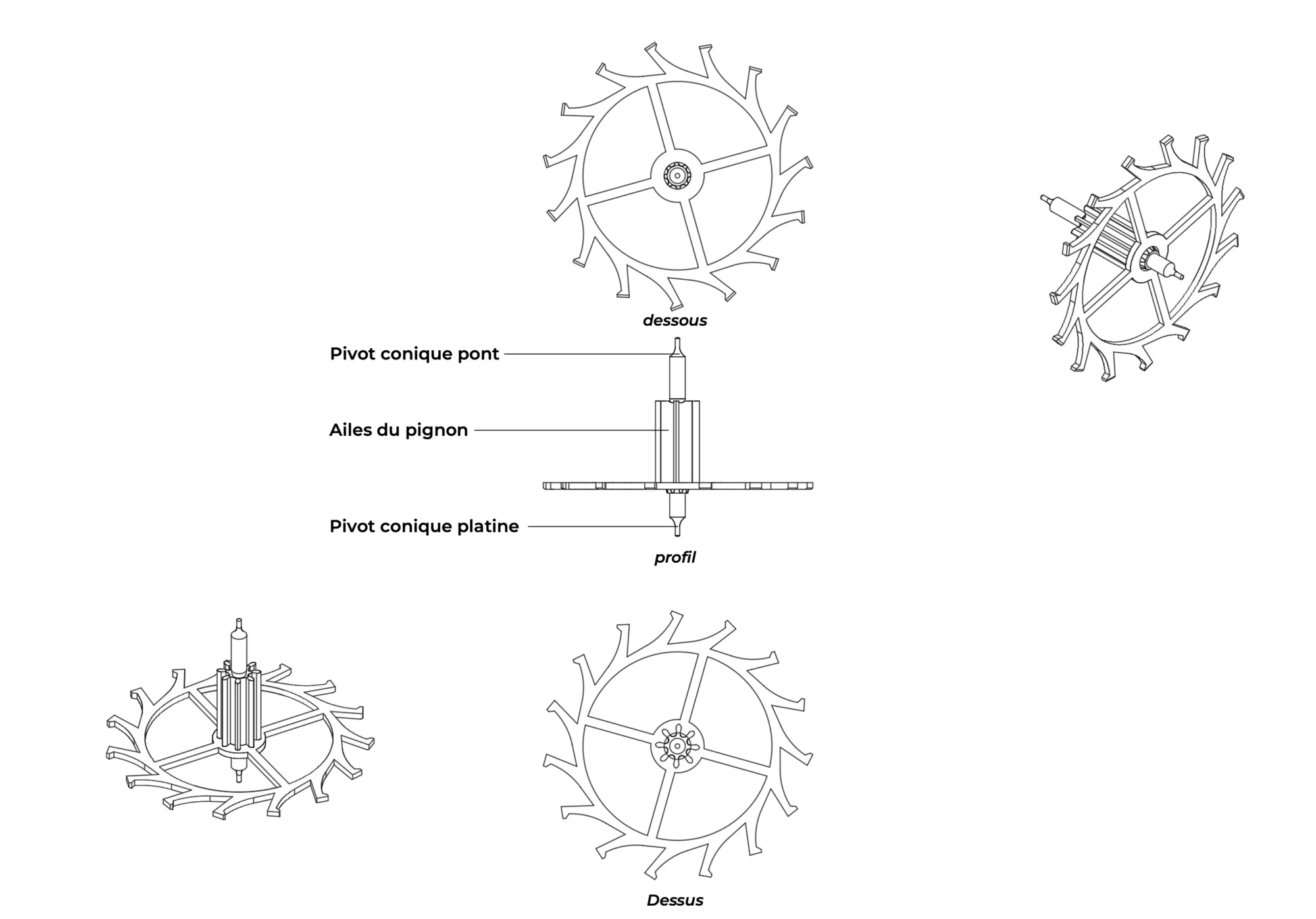 Ankerrad (Hemmungsrad) Detaillierter Plan mit Legenden eines Ankerrads (Schweizer Ankerhemmung)