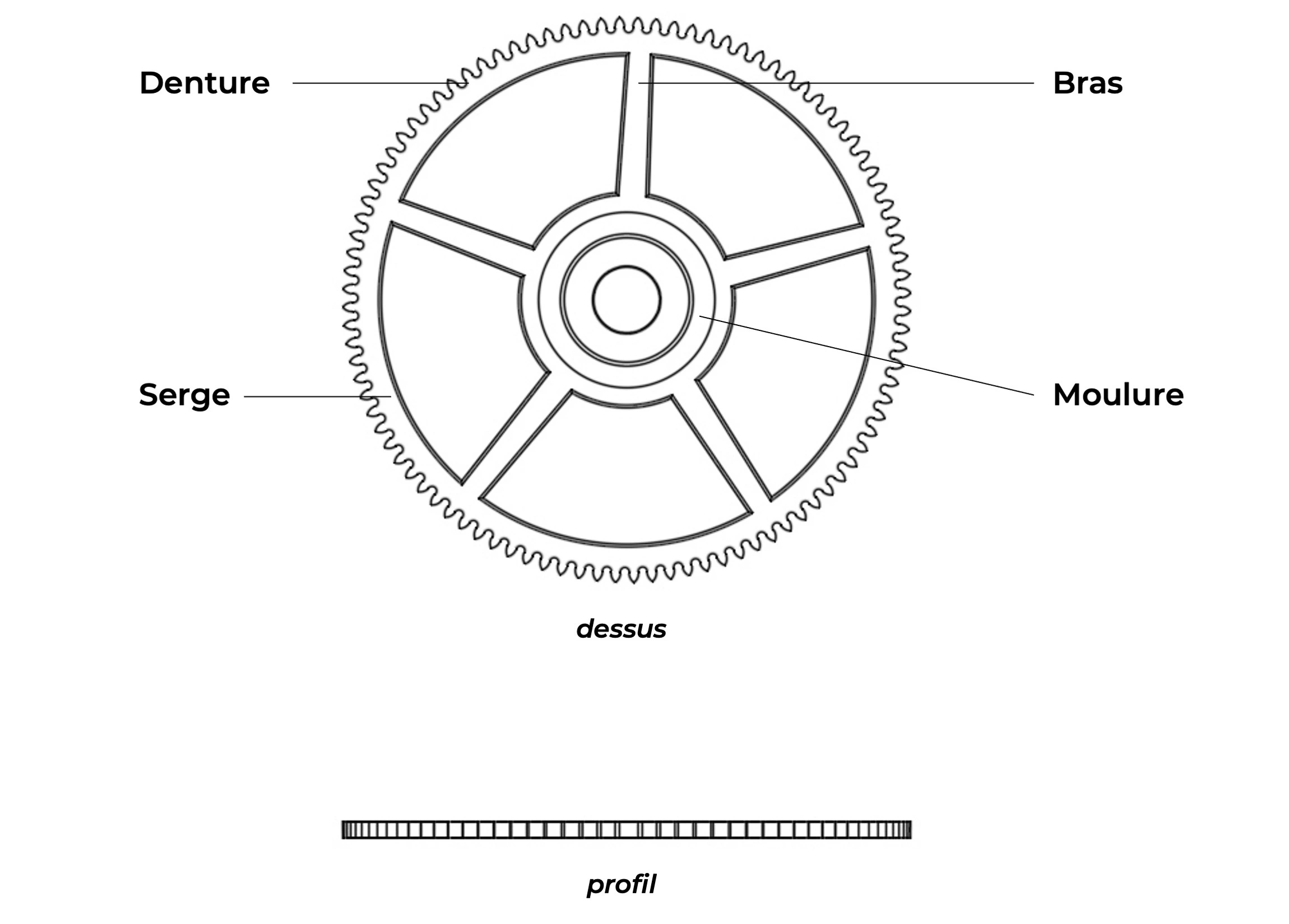 Fourth wheel (seconds wheel) Detailed diagram with labels of a Fourth wheel (seconds wheel)
