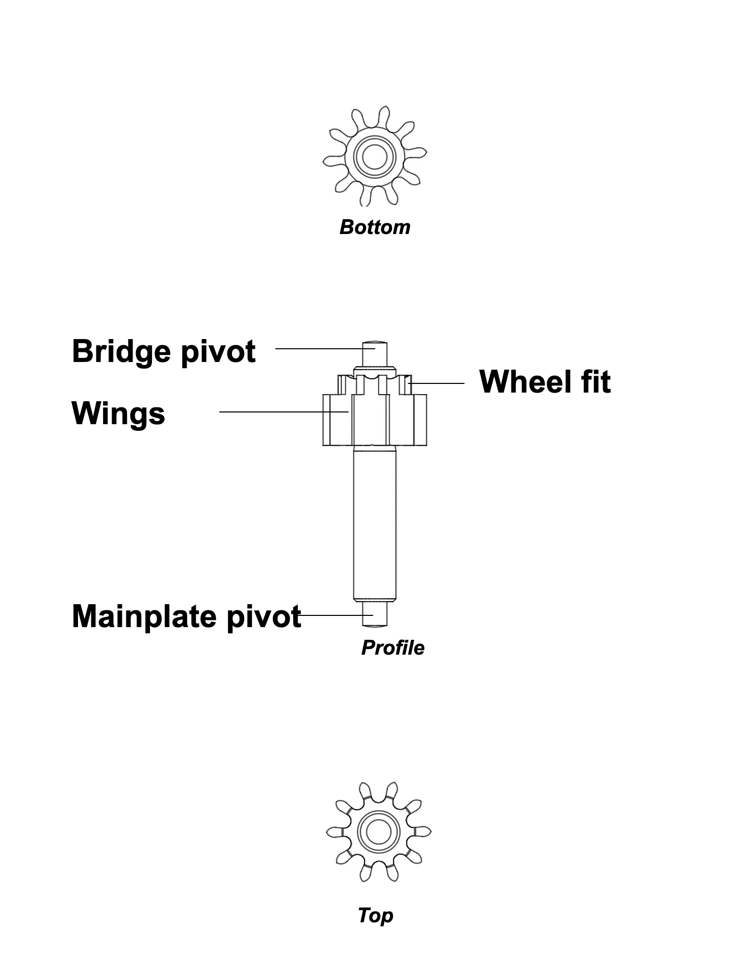 Third-wheel pinion Detailed plan with labels of a third-wheel pinion