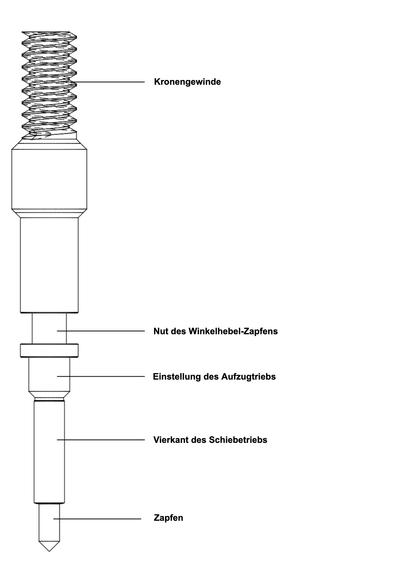 Aufzugwelle FR Aufzugwelle FR