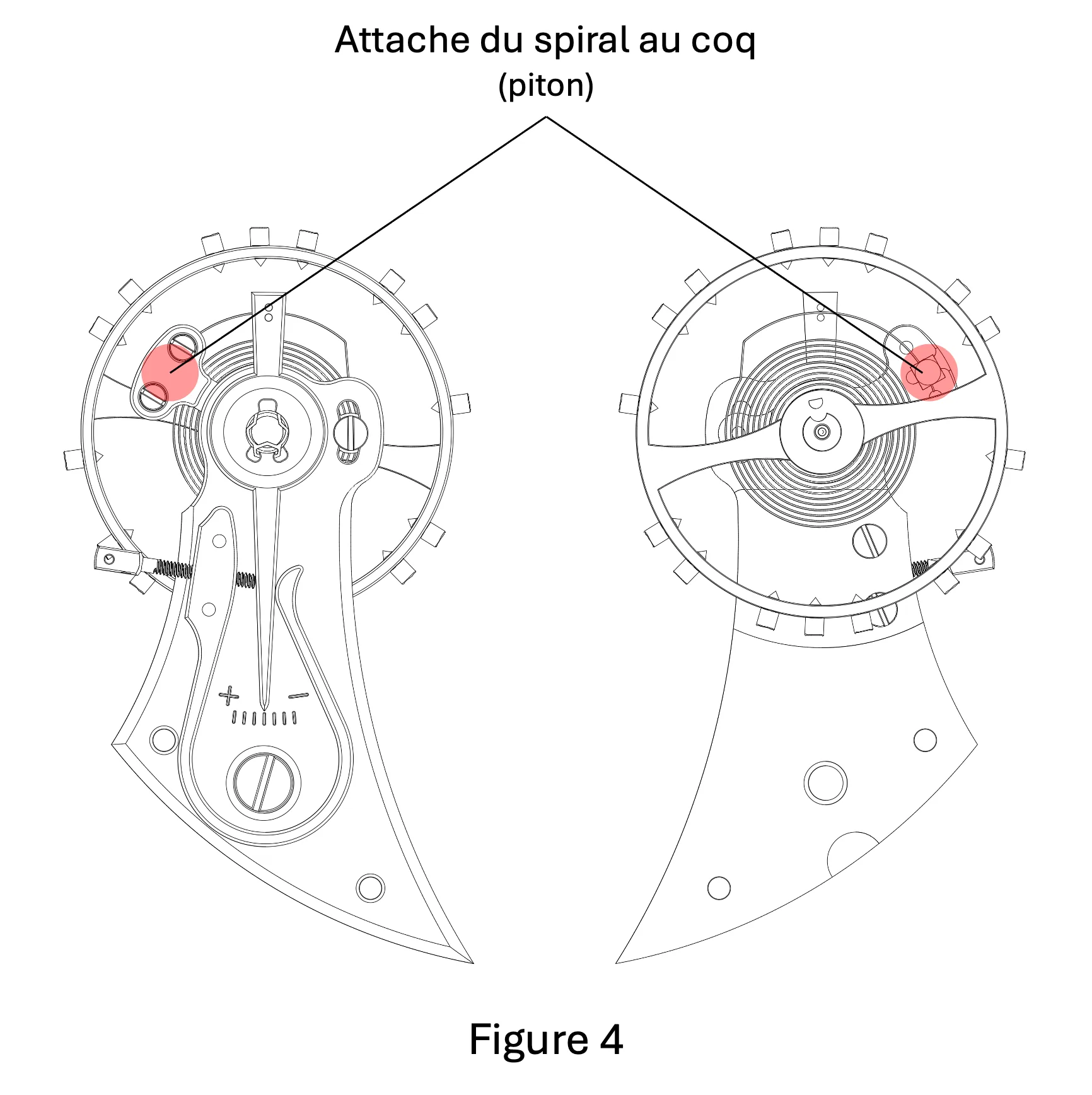 Attache du spiral au coq (organe régulateur) Descritption de l'attache du spiral au coq par le piton (organe régulateur)