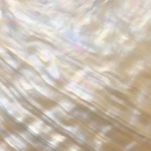 ChatGPT Image 28 oct. 2025 09 19 05 300x300