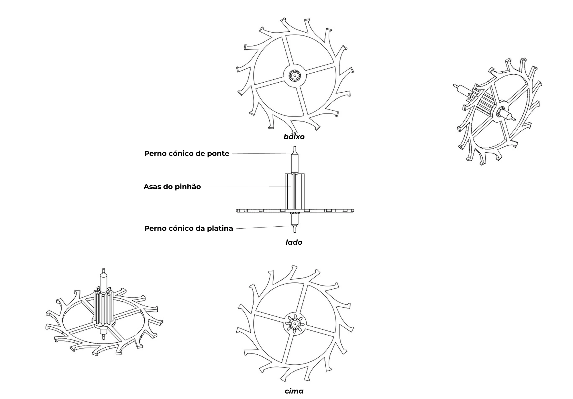 Roda de escape Plano detalhado com legendas de uma roda de escape (escape de âncora suíço)