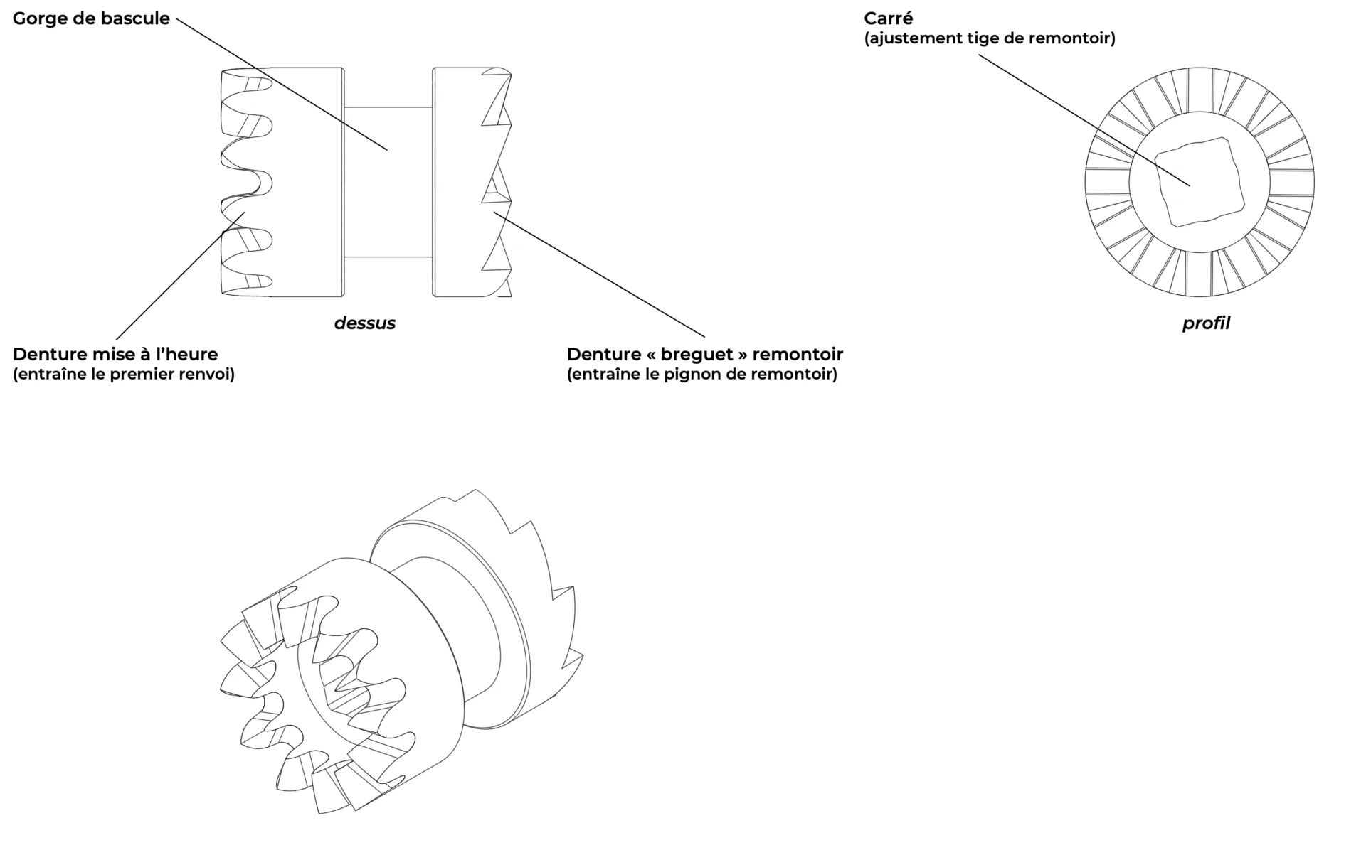 Pignon coulant plan FR Pignon coulant plan FR