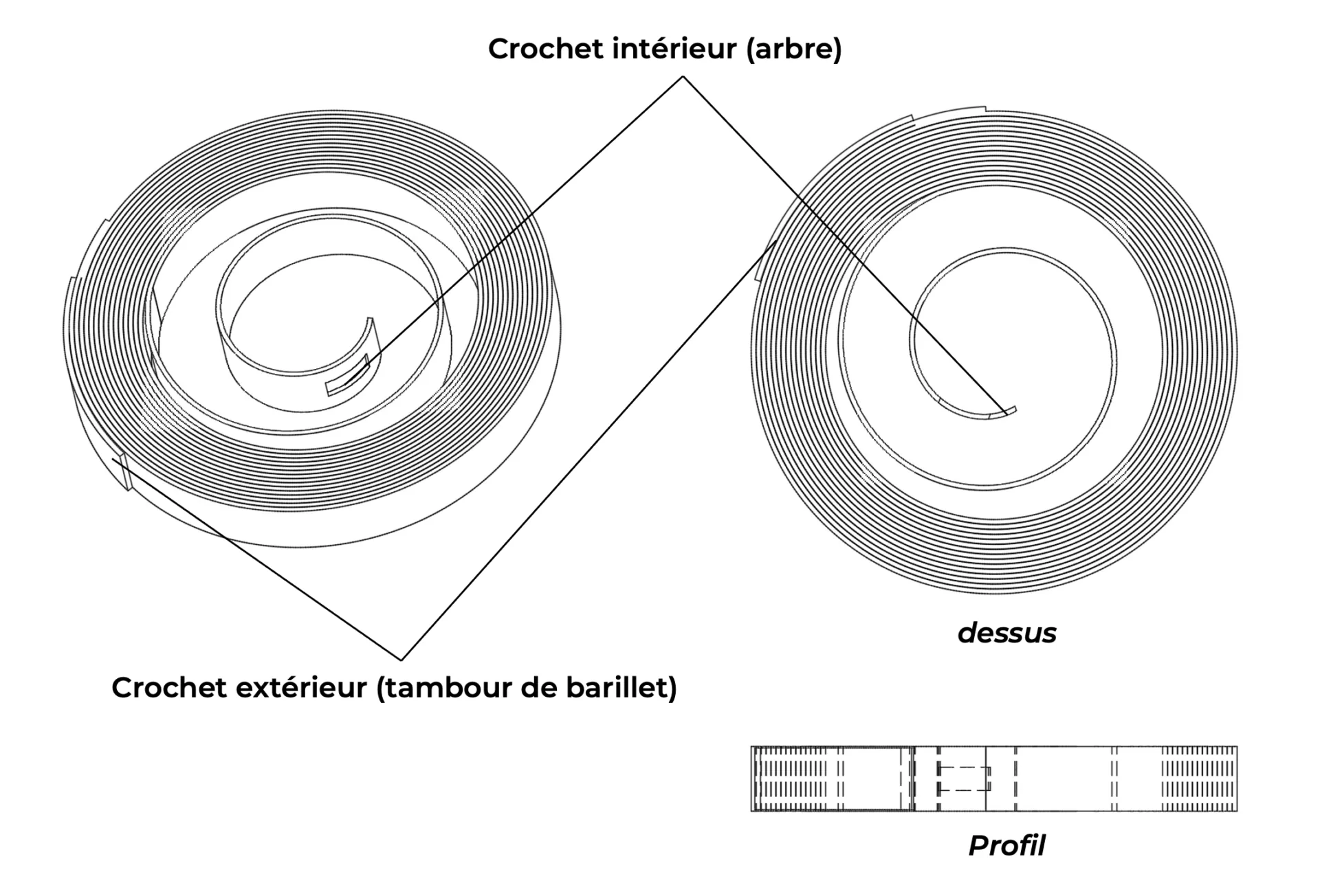 Ressort de barillet Plan avec légendes d'un ressort de barillet pour mouvement mécanique à remontage manuel