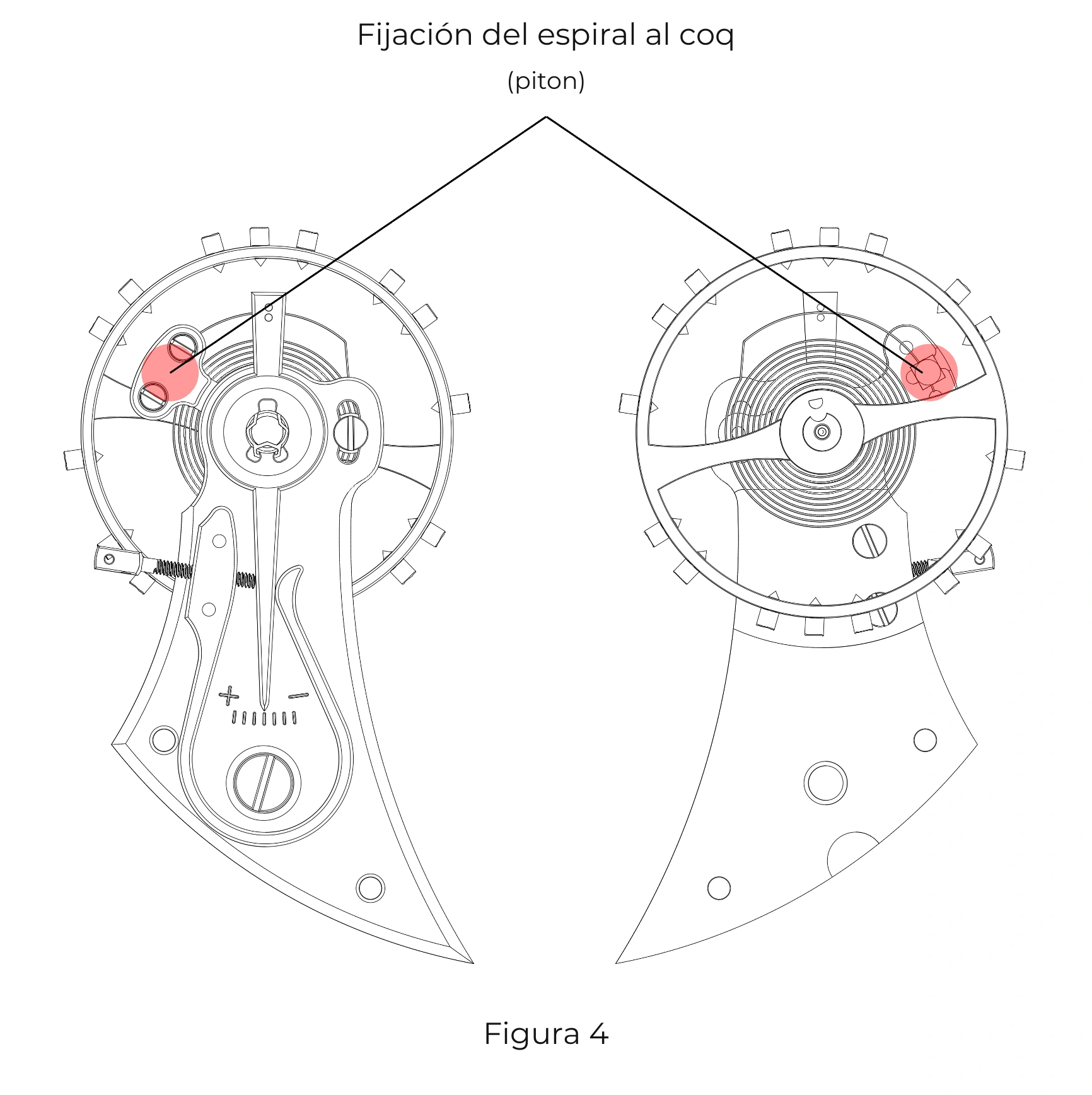 Sujeción del espiral al puente del volante (órgano regulador) Descripción de la fijación del espiral al puente del volante mediante el piton (órgano regulador)