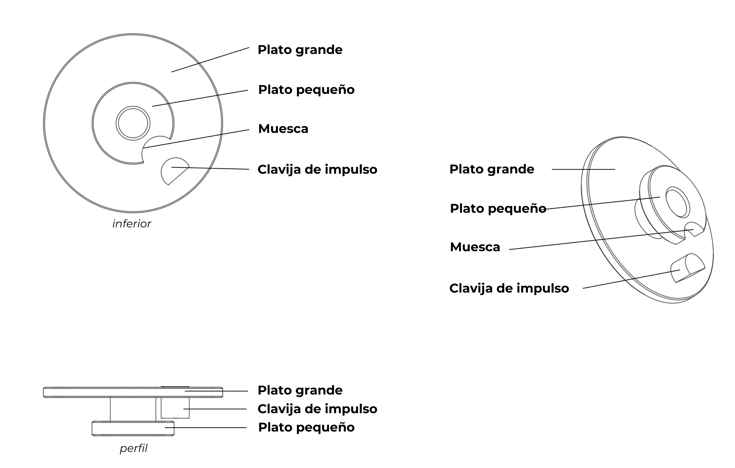 Doble plato Plano detallado con leyendas de un doble plato para escape de áncora suiza
